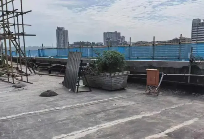 顶楼花坛(受访者供图)